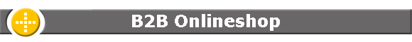 B2B Onlineshop